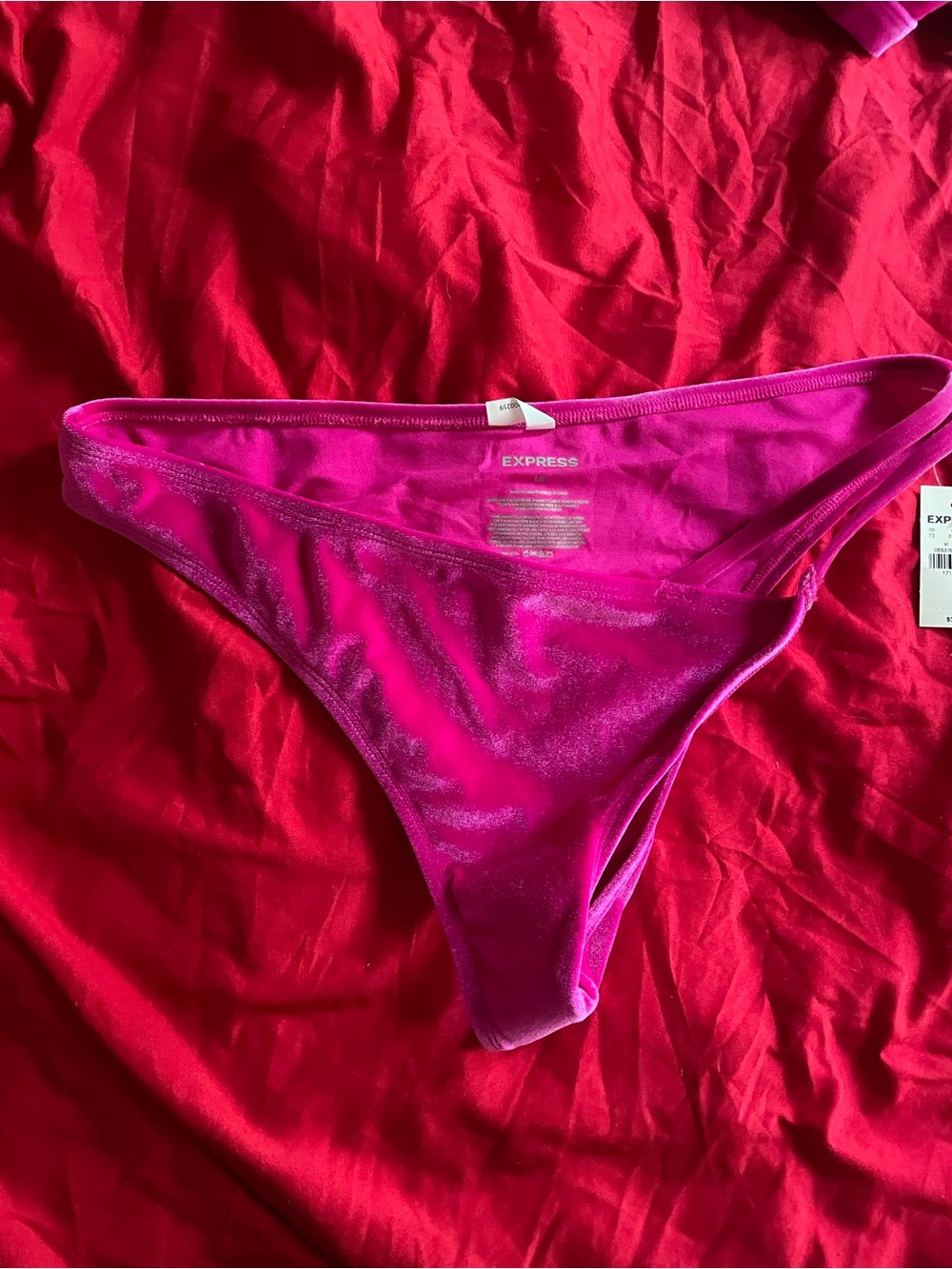 Express Hot Pink Bikini Bottom